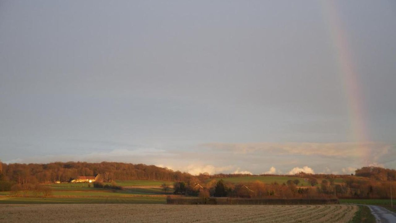 AreaSummer5KM AreaSummer5KM